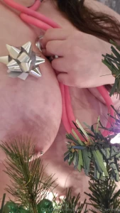 Merry christmas tits the season am i right were you nice or naughty part 1