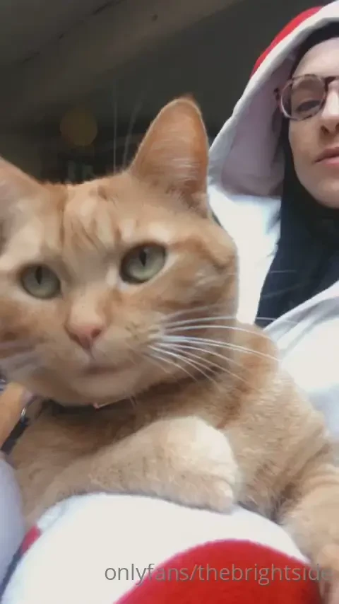 Purrrrr love 