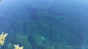 Skinny dipping in cenotes
