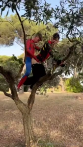 You ve never seen spiderman like this we climbed up this olive tree