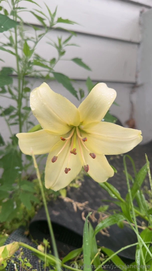 Some selfies and nature stuff from this week hope everyone has a great part 1 