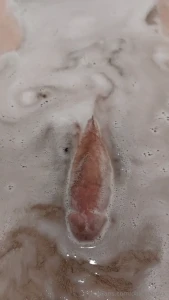 Enjoy this video of my sudsy cock enjoying a bubble bath