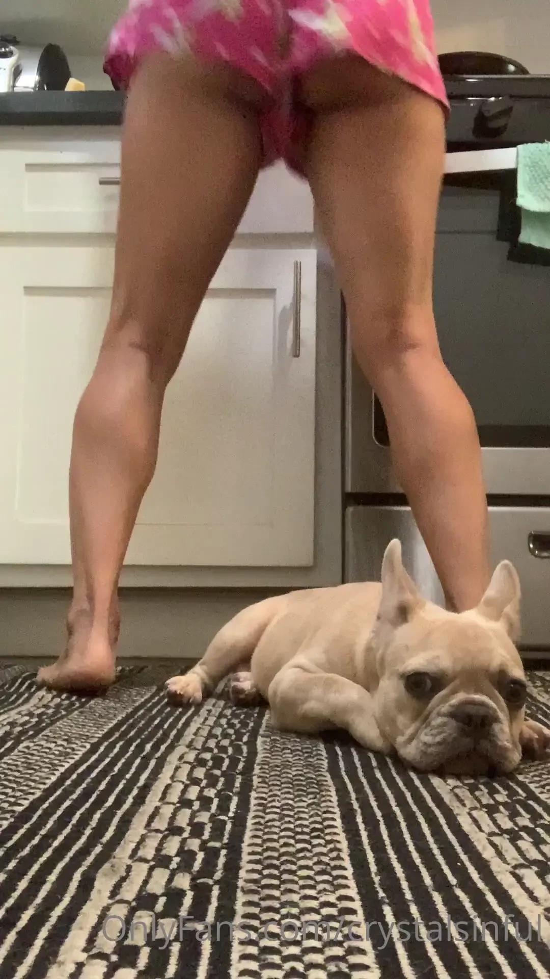 Boss would not let me cook in peace 