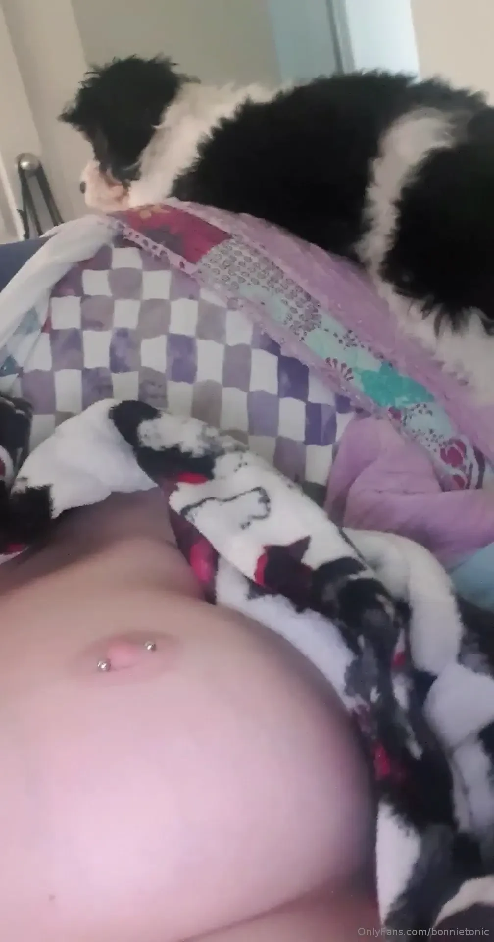 My whole life atm revolves around my new puppy she is so cute except 