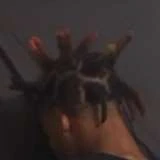 dawgzgetfckked