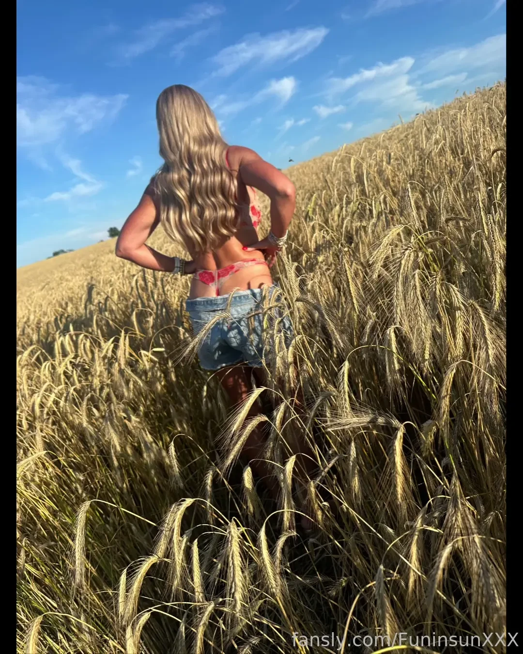 My hubbys crops are looking amazing it got very in the field last part 26 