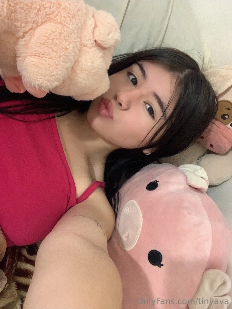 Tinyavaxo 