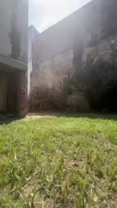 My favorite giantess videos are already here i know you ll love it you