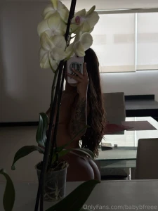 Hoy fue d a de regar mis plantas me encanta el nuevo contenido que