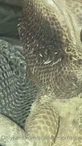 Fleshxfur