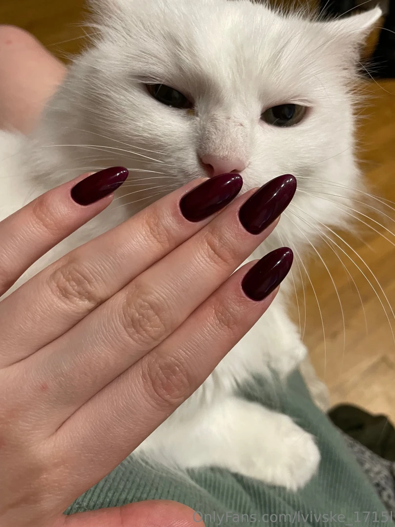 Lvivske-1715l part 5 