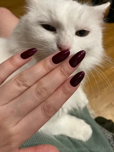 Lvivske-1715l part 5