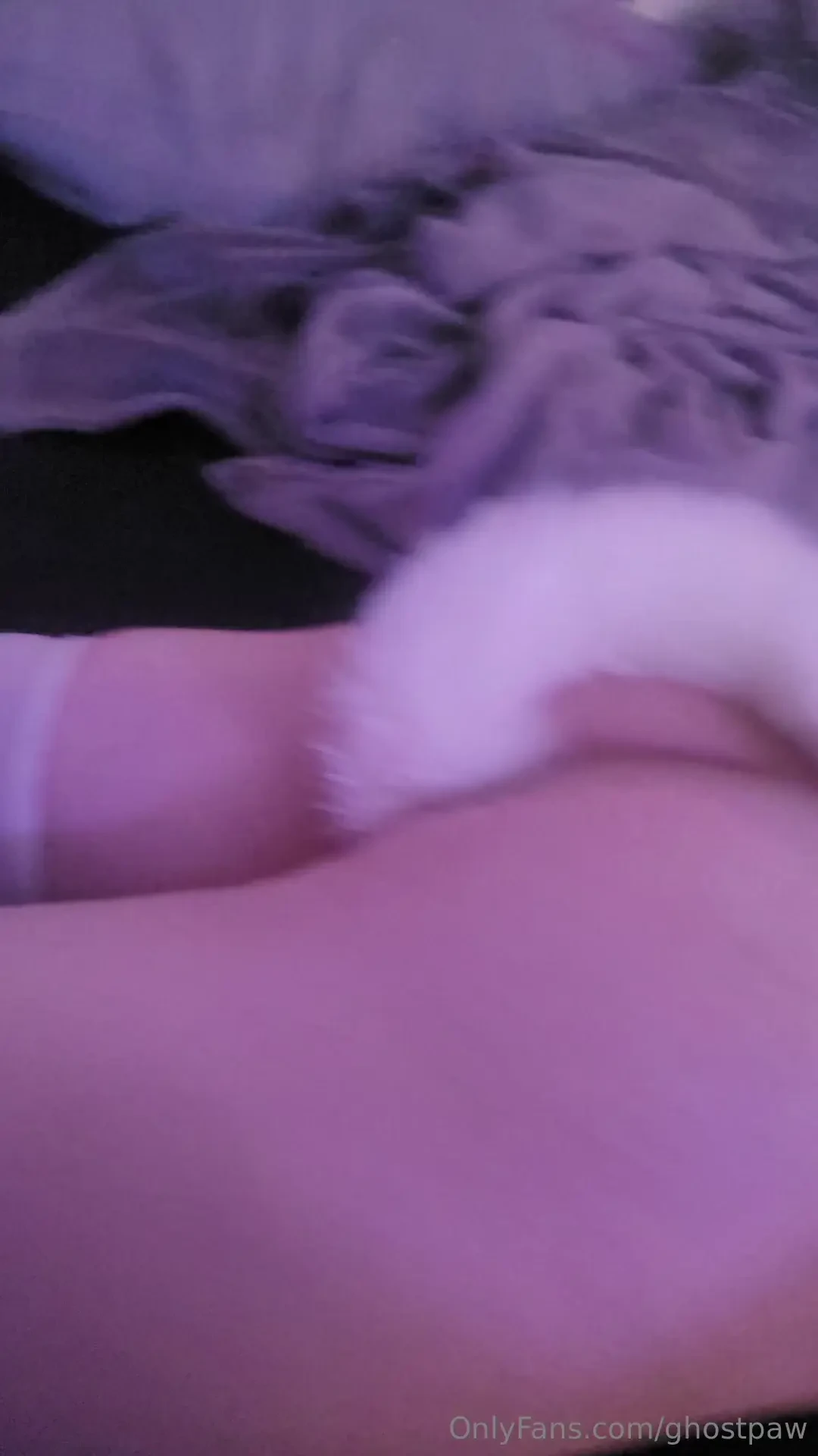 More gay catboys for your enjoyment 3 