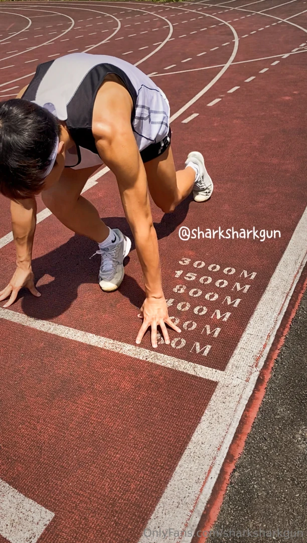 Sharksharkgun part 14 