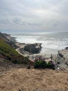 It s a beach day part 1