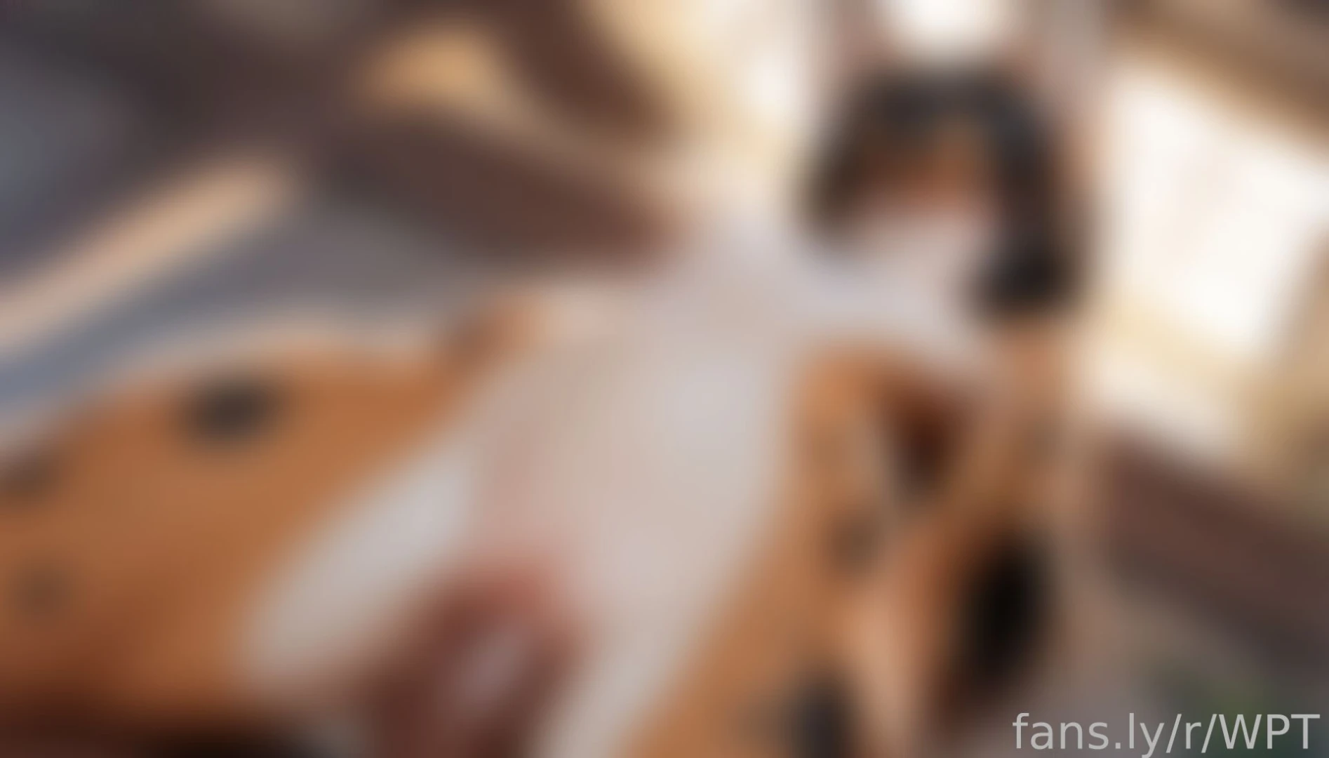 Buy me a present and look at these slutty foxes furry anime hentai joi part 1 