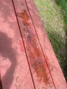 Picnic date anyone i ll bring the drinks pee piss part 1