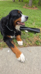 Sorry i ve been mia my baby got diagnosed with cancer and i have to