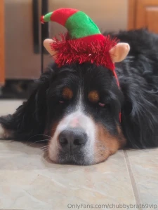 Chubbybrat69vip part 16