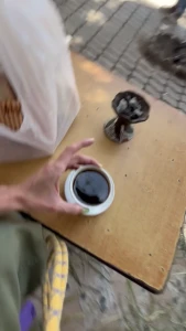 Est s las saqu camino a la cafeter a