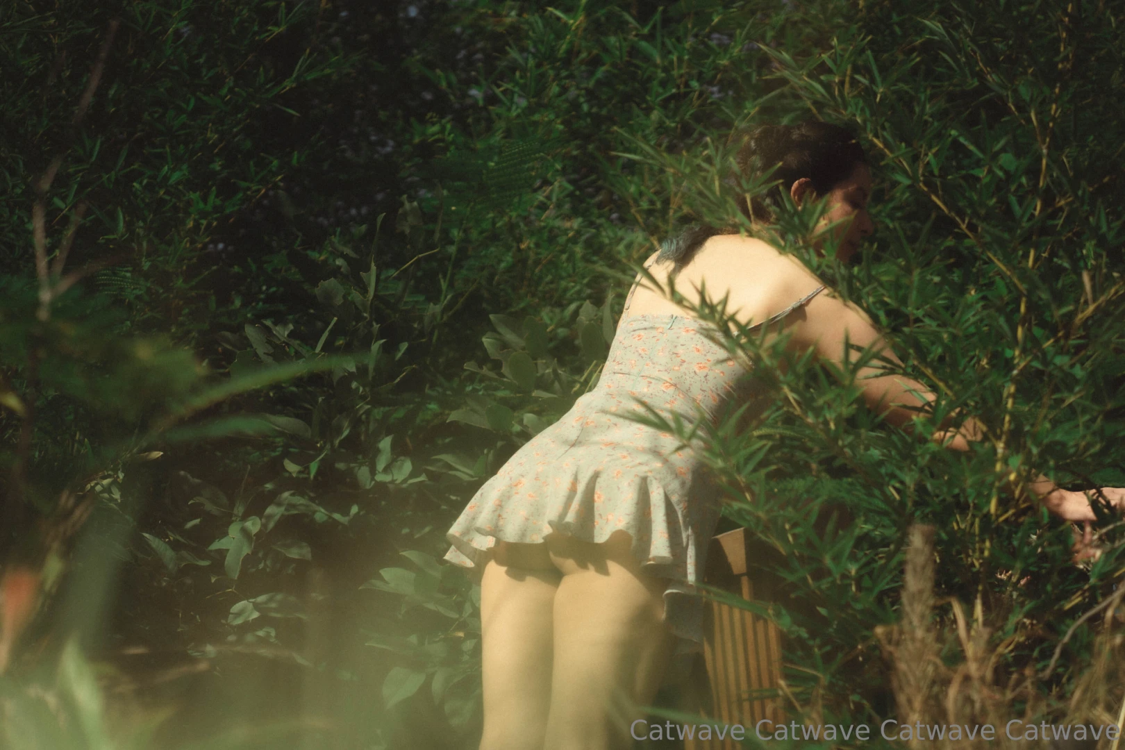 A peek of the garden photo set courtesy of the garden club on mfc tip 