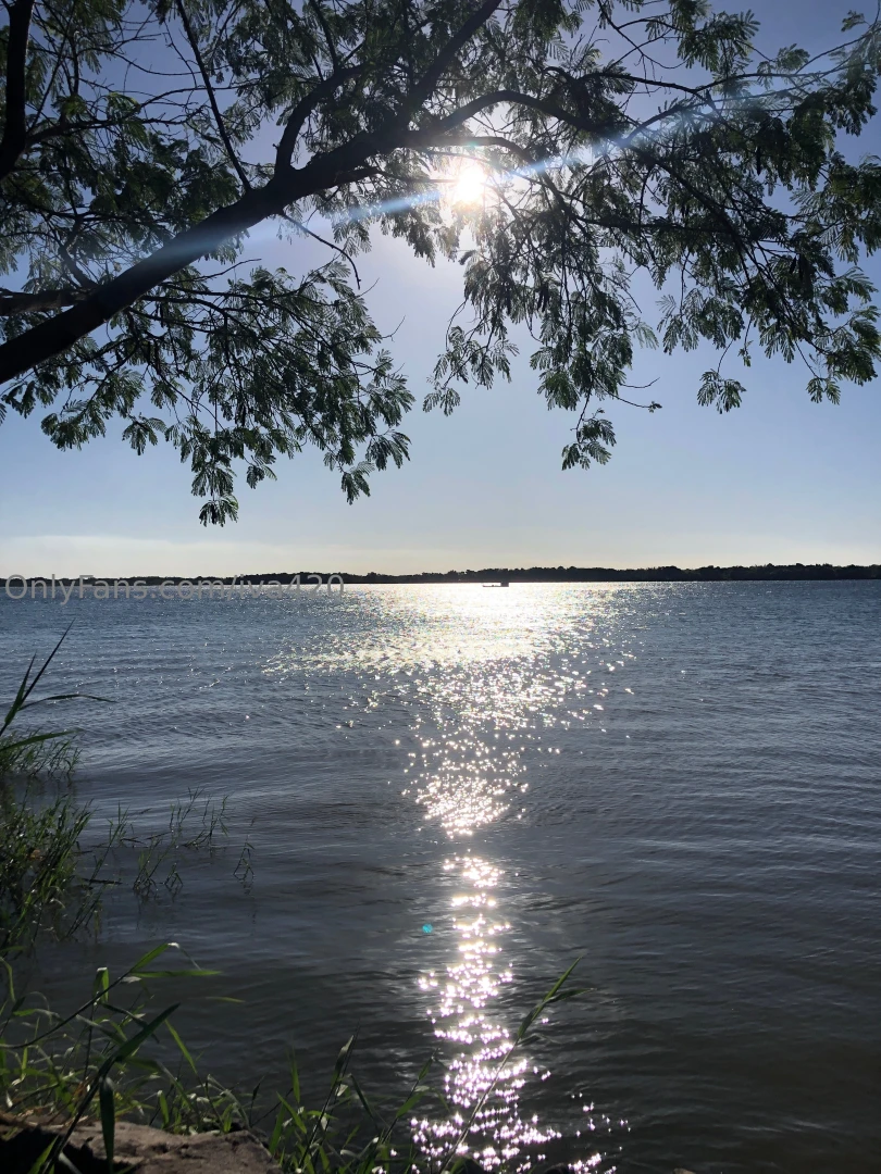 Sunny day part 141 