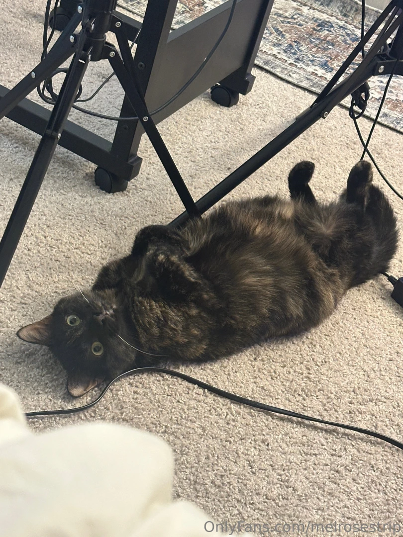 Everyone wish my baby a happy first birthday 