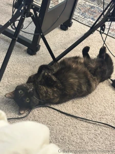 Everyone wish my baby a happy first birthday