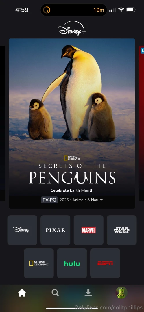 Real note yesterday was penguin day fun fact i love documentaries and 