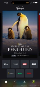 Real note yesterday was penguin day fun fact i love documentaries and