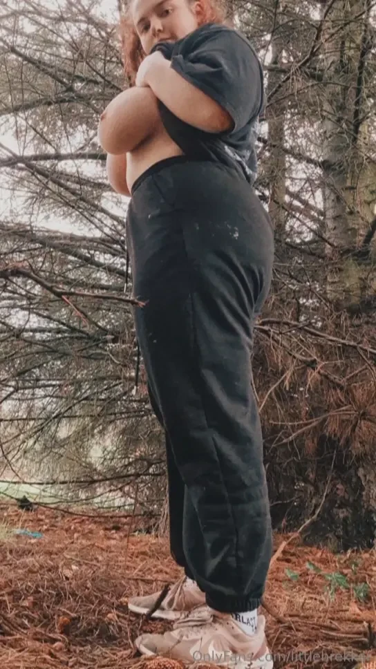 So here it is my little adventure in the woods the other day i was 