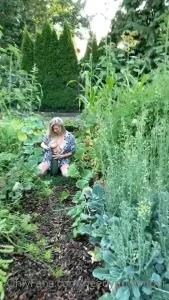 I started a garden this year and the zucchini s got huge what should i