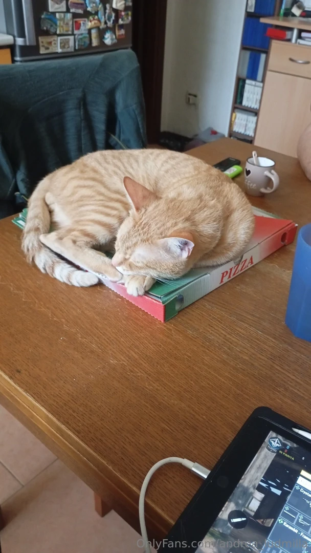 La soddisfazione pi grande quella di sapere che c qualcuno che aspetta 