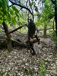 They won t send over messages so here yall go part 1