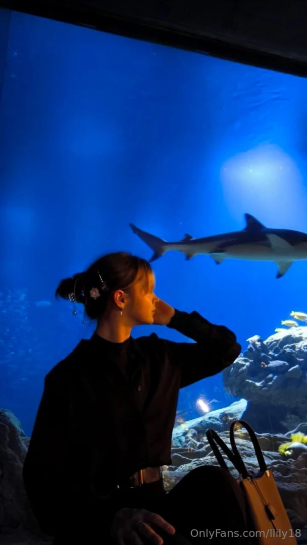 This magical and amazing sea world part 2 