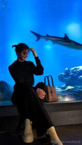 This magical and amazing sea world