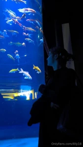 This magical and amazing sea world part 1