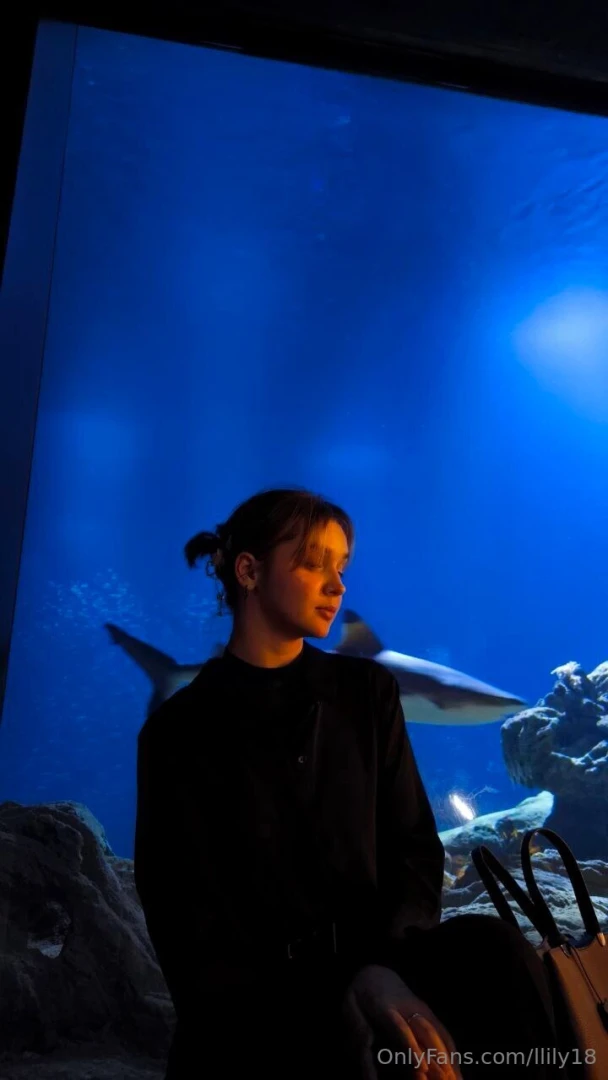 This magical and amazing sea world part 3 