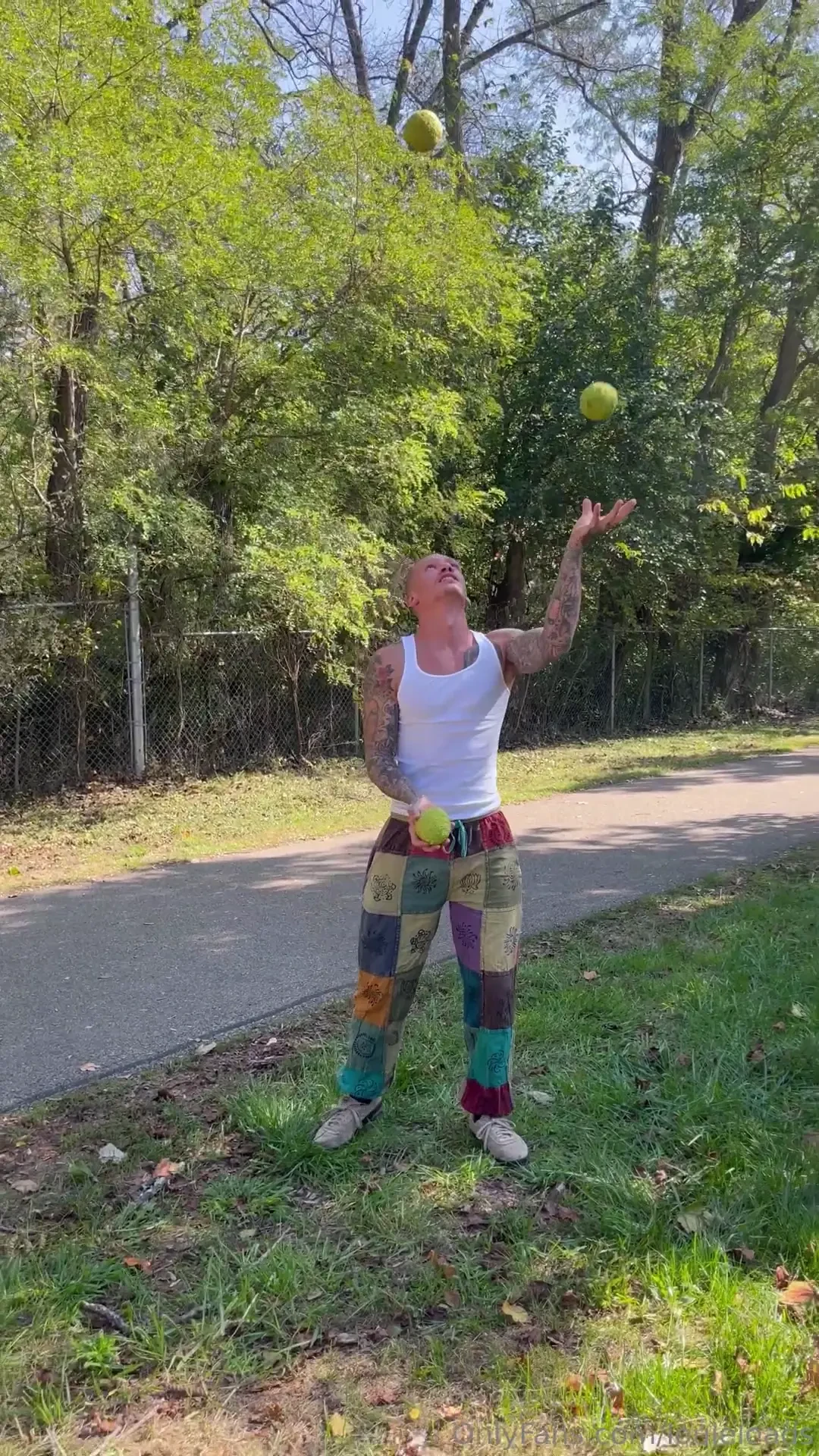 Juggling monkey brains 