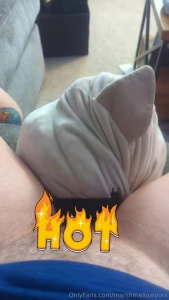 And they said girls couldn t masturbate with pillows fuck em part 1