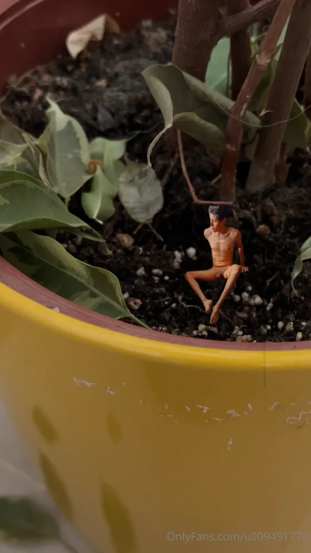 Chapter 1 found him in a planter new video every day thanks to my new 