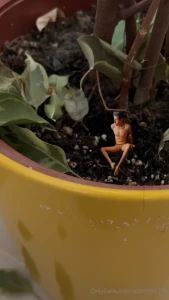 Chapter 1 found him in a planter new video every day thanks to my new