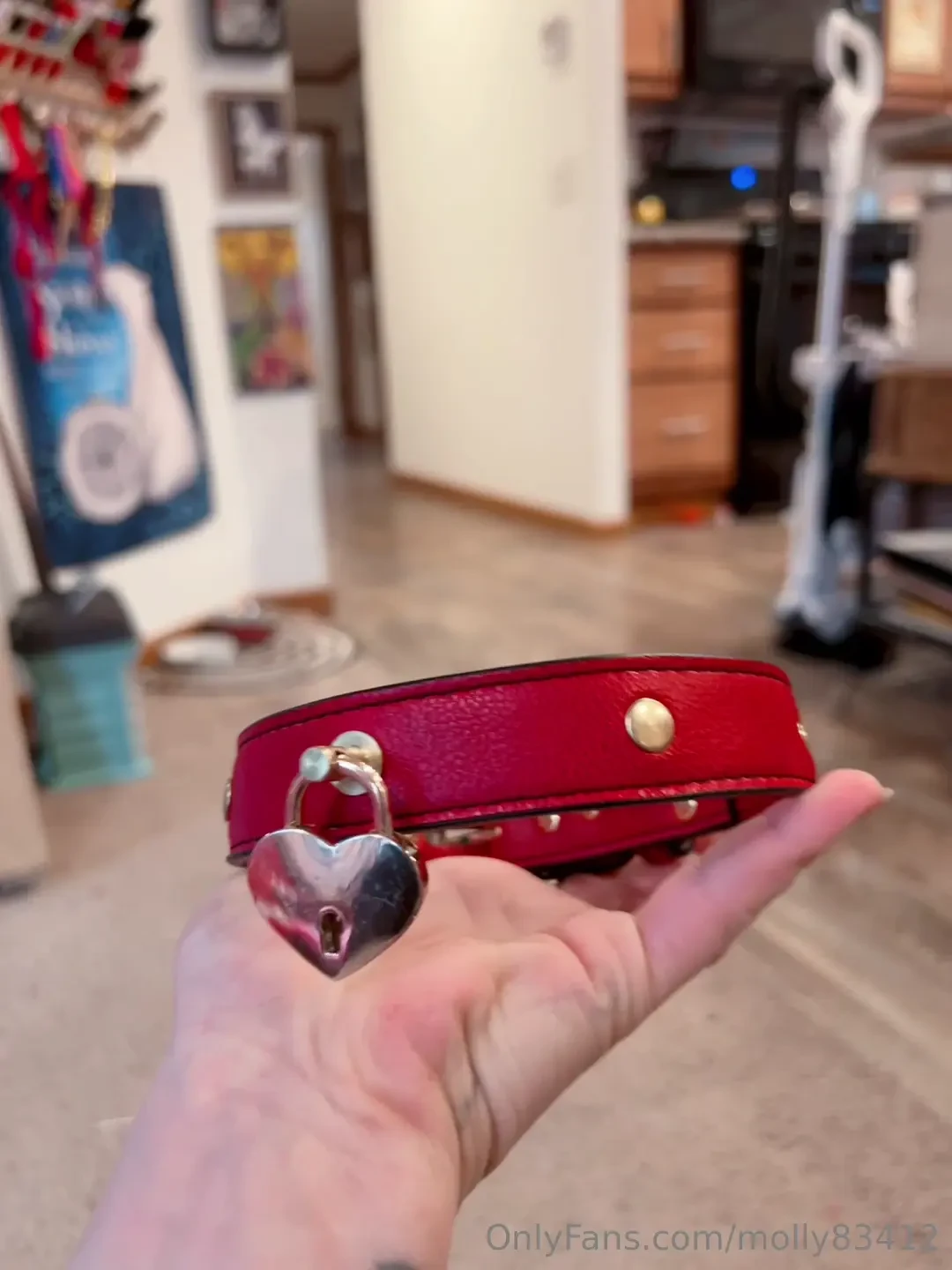 Look at this beautiful collar i made red and gold is my favorite combo 