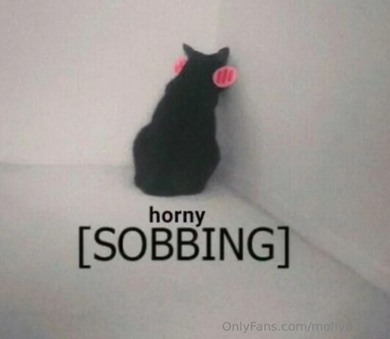 Is this a thing am i allowed to like horny meme dump on here who is part 9 