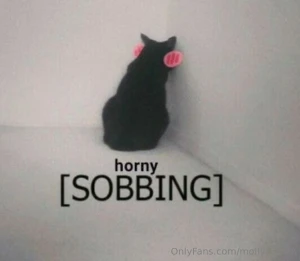 Is this a thing am i allowed to like horny meme dump on here who is part 9