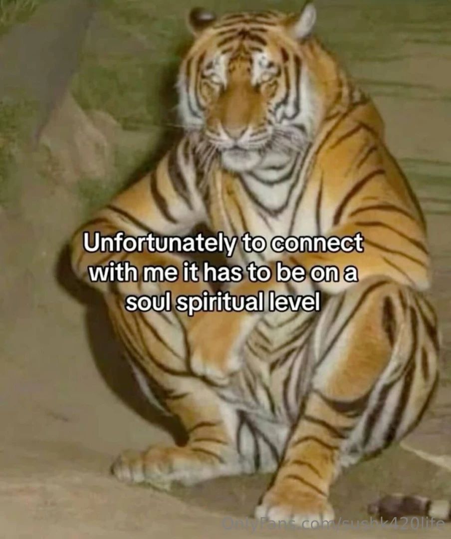 Meming on both pages here and sushk420 