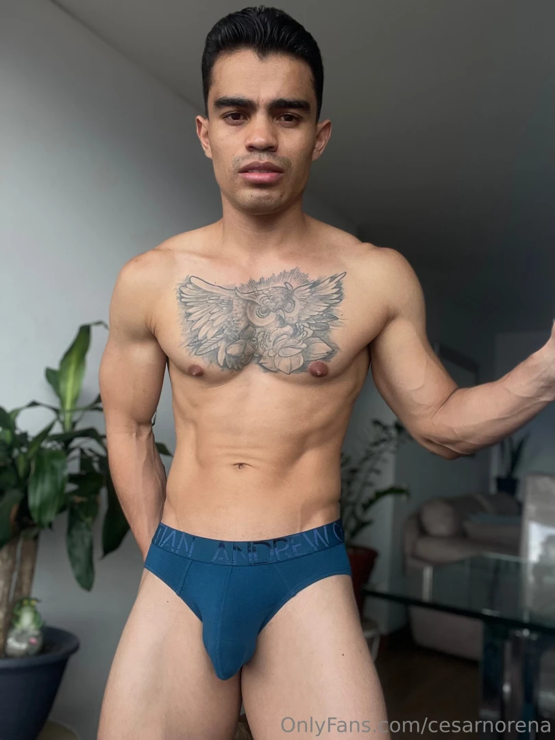 Que tal mis nuevos boxer part 1 