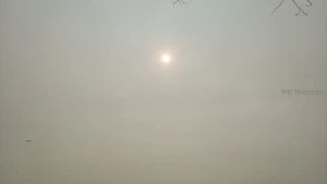 Sa sexy ass brunette_cutie86 sun s out buns out hazy sun today but it part 1