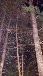 Had a great time camping this weekend i hadn t planned on doing part 1