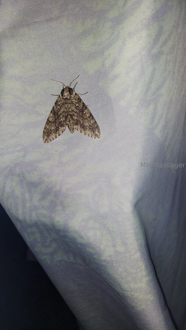 Had a great time camping this weekend i hadn t planned on doing 